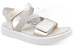 Pure White/Gold