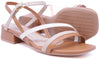 Camel Multi