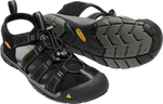 Black/Gargoyle